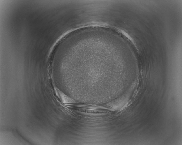 X0000082931310200702152137