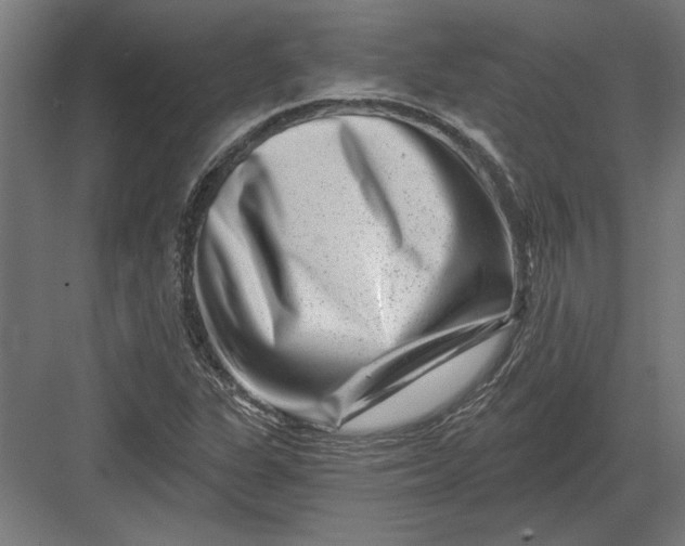 X0000082931311200702152137