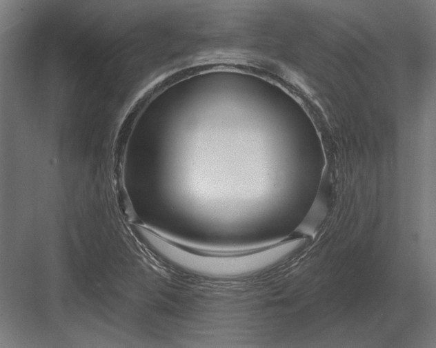 X0000082931312200702152137