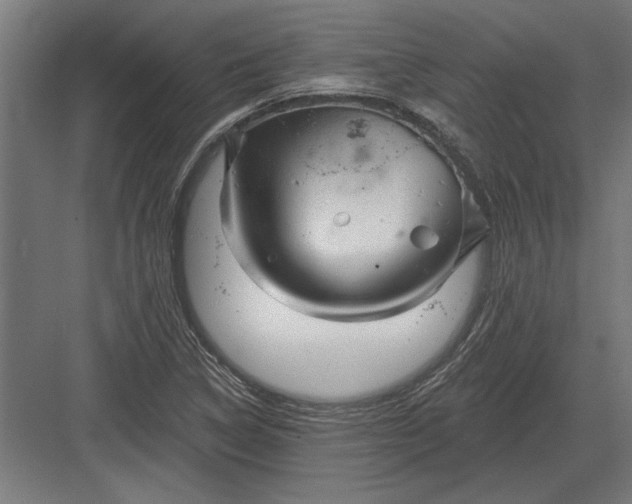 X0000082931314200702152137