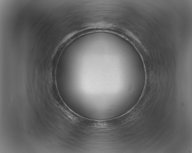 X0000082931315200702152137