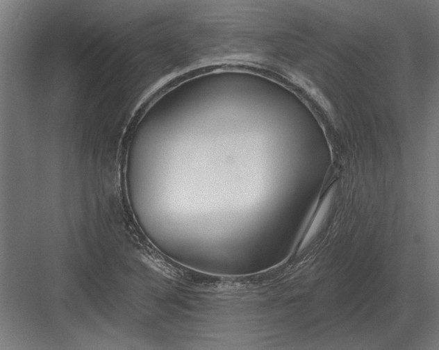 X0000082931316200702152137