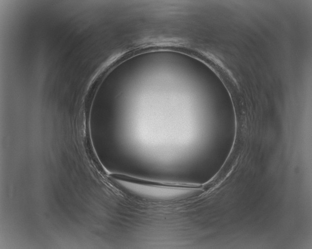 X0000082931317200702152137