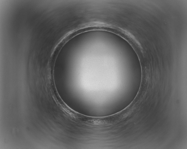 X0000082931318200702152137