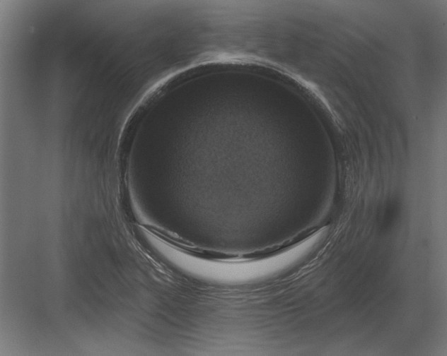 X0000082931319200702152137