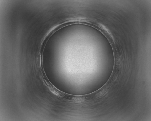 X0000082931320200702152137