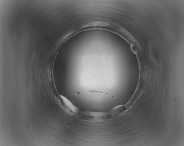 X0000082931321200702152137