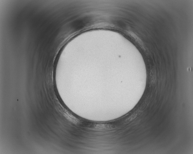 X0000082931322200702152137