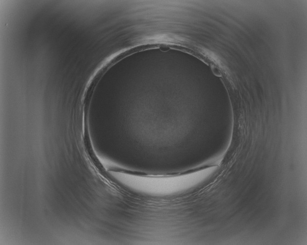 X0000082931323200702152137