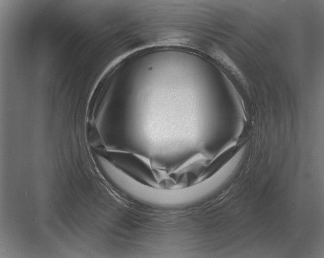 X0000082931324200702152137