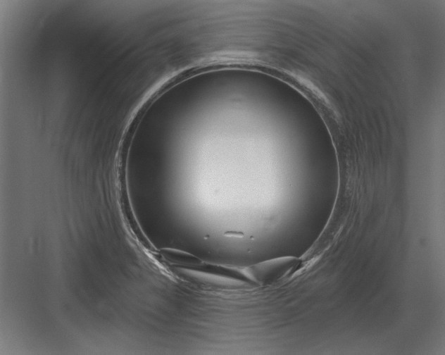 X0000082931325200702152137