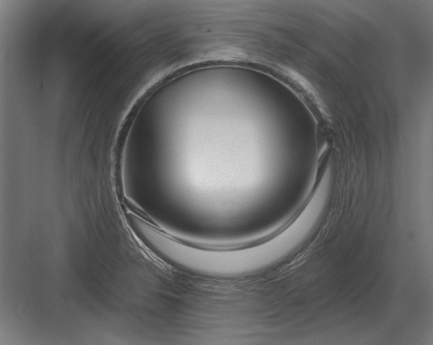 X0000082931326200702152137