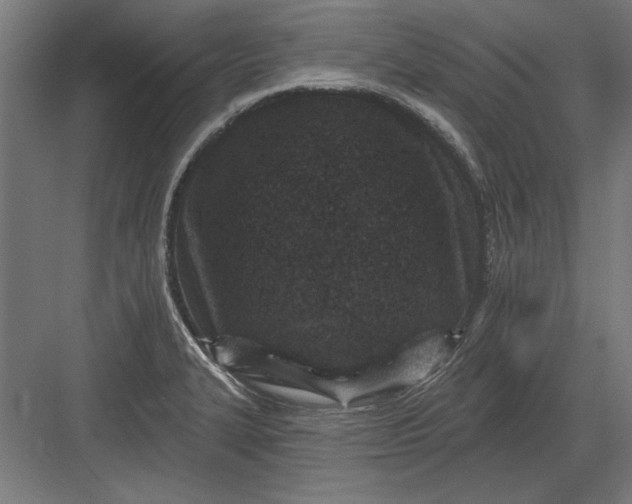 X0000082931327200702152137