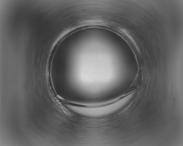 X0000082931328200702152137