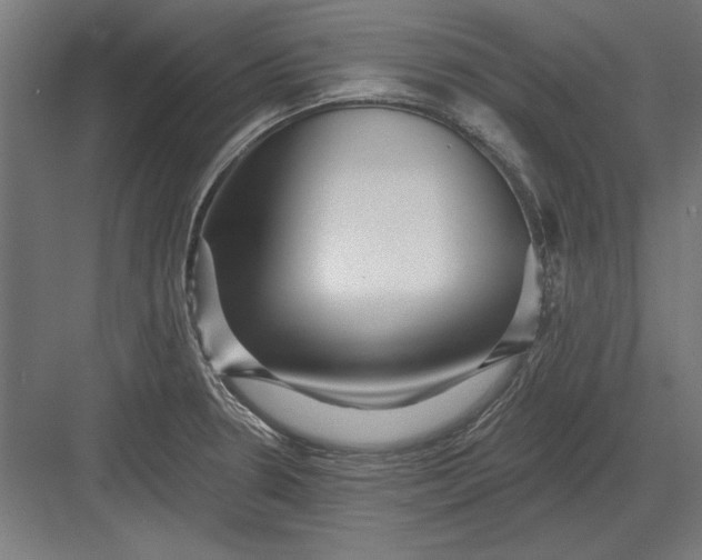 X0000082931330200702152137