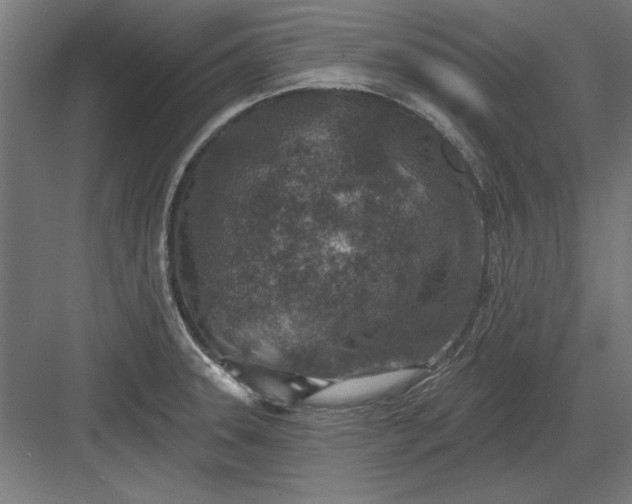 X0000082931331200702152137