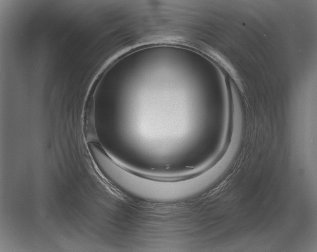 X0000082931332200702152137