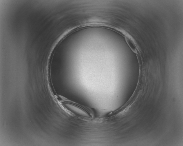 X0000082931333200702152137