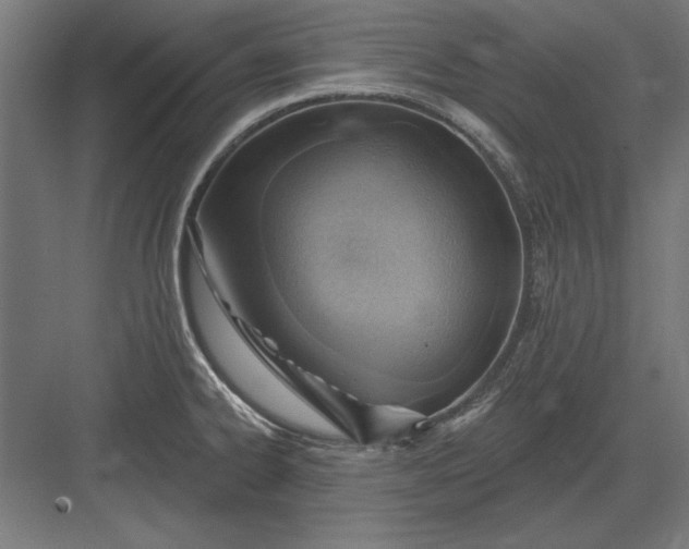 X0000082931334200702152137