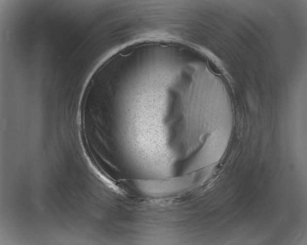 X0000082931335200702152137