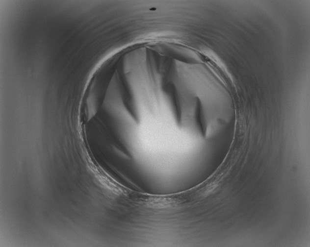 X0000082931336200702152137