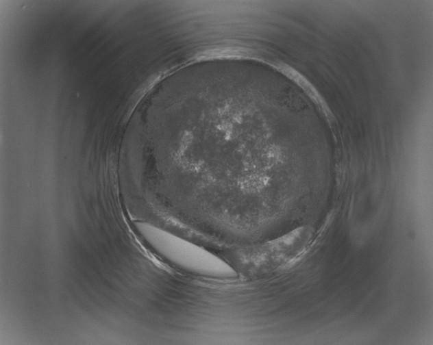 X0000082931337200702152137