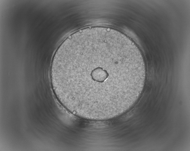 X0000082931338200702152137