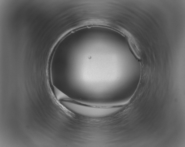 X0000082931339200702152137