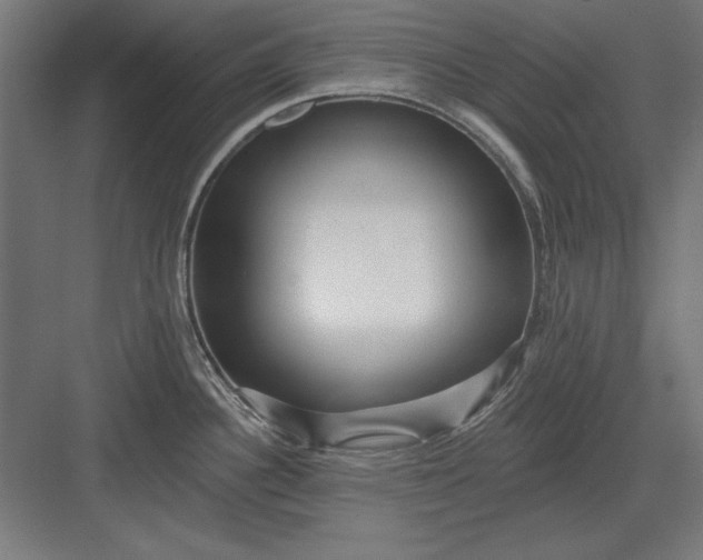 X0000082931340200702152137