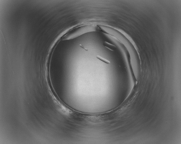 X0000082931341200702152137