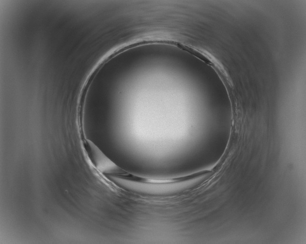 X0000082931342200702152137