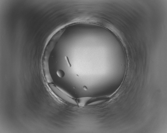 X0000082931344200702152138