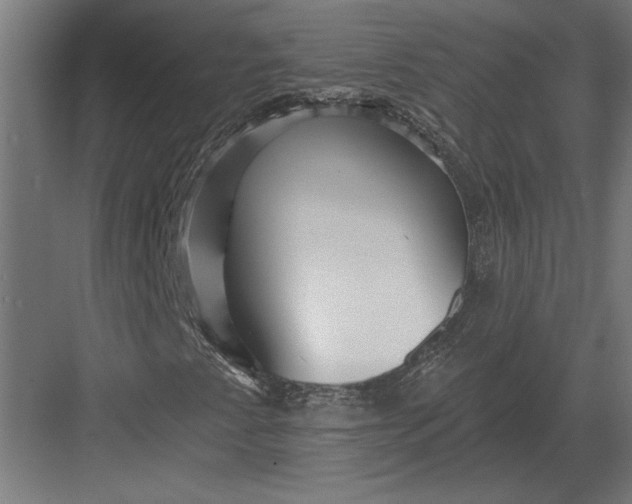 X0000082931345200702152137