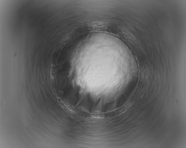 X0000082931346200702152137