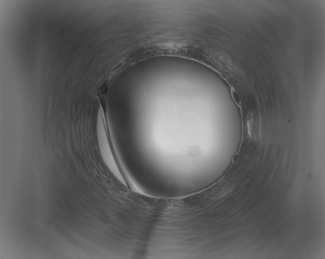 X0000082931347200702152137