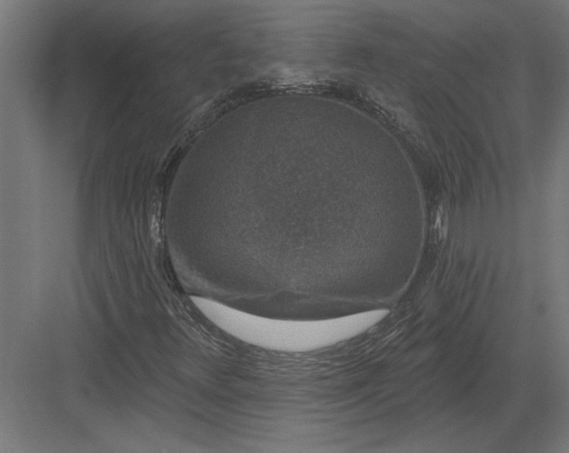 X0000082931348200702152137