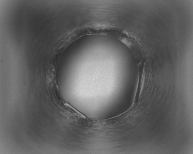 X0000082931349200702152137