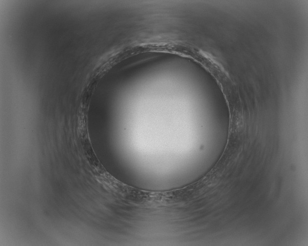 X0000082931350200702152137