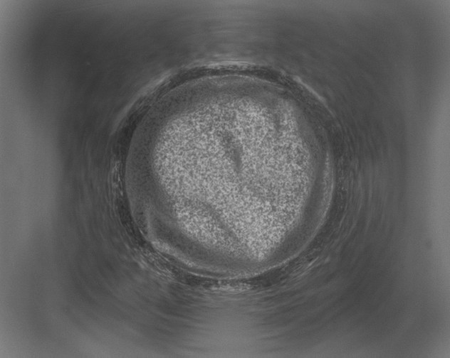 X0000082931351200702152137