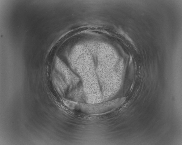 X0000082931352200702152137