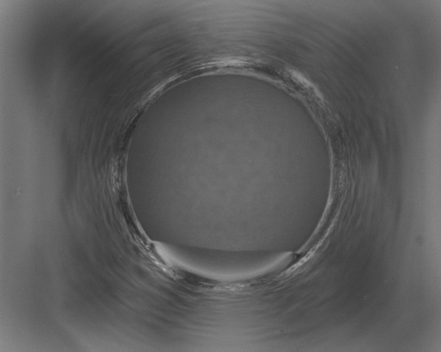 X0000082931353200702152137