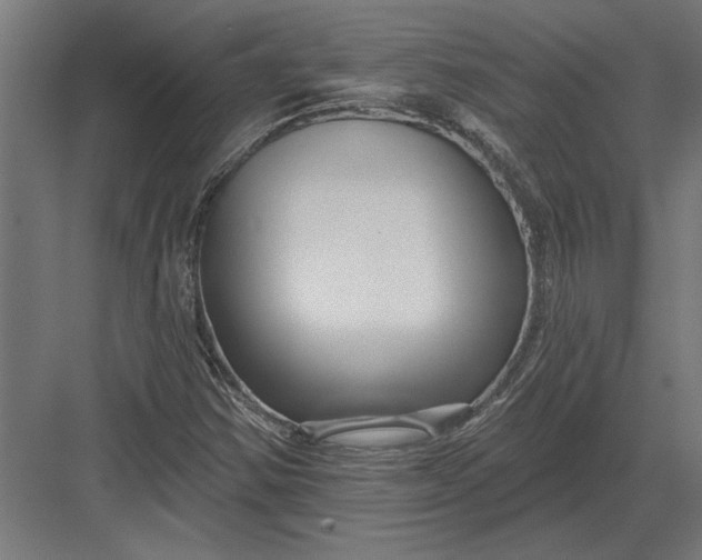 X0000082931354200702152137