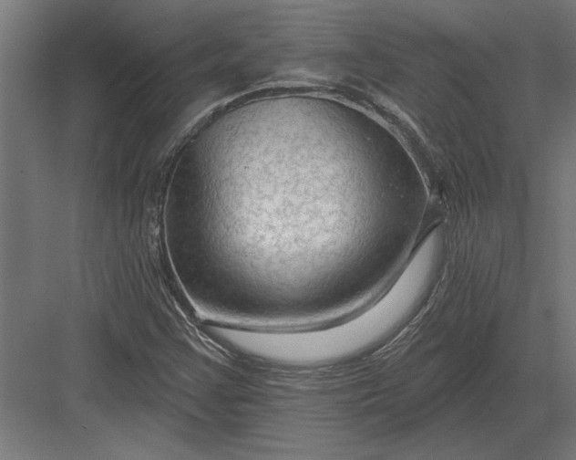 X0000082931355200702152137