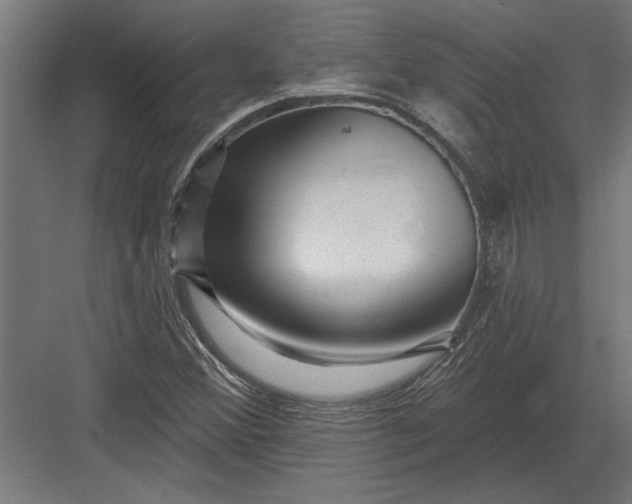 X0000082931356200702152137