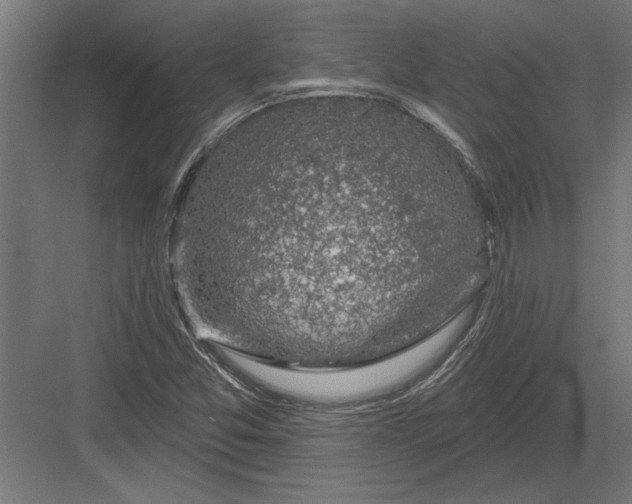 X0000082931357200702152137