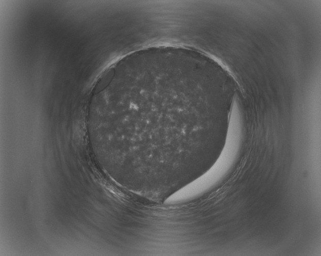 X0000082931359200702152136