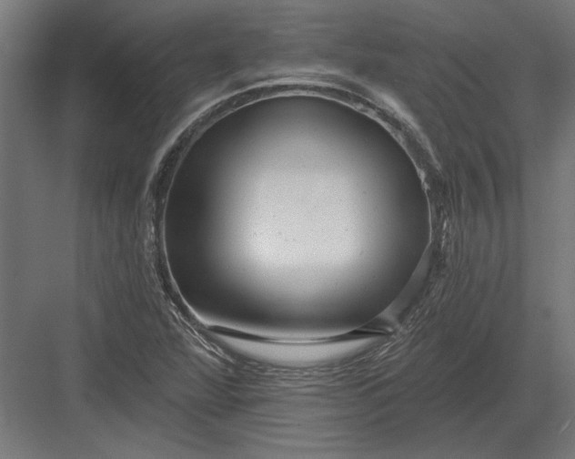 X0000082931360200702152136