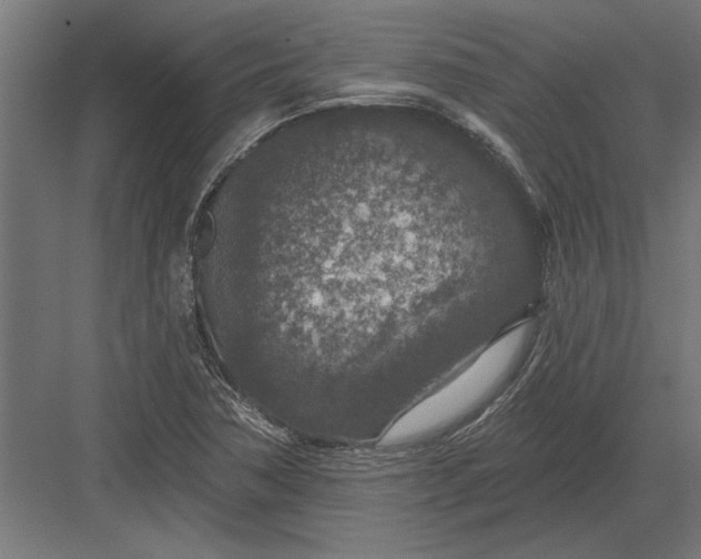 X0000082931362200702152136