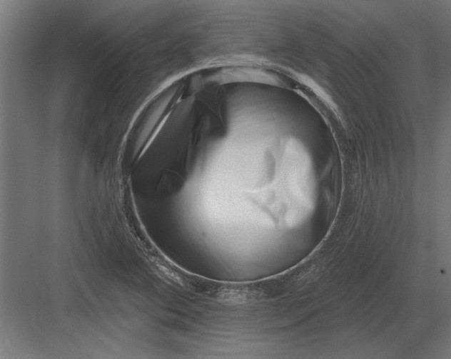 X0000082931364200702152136