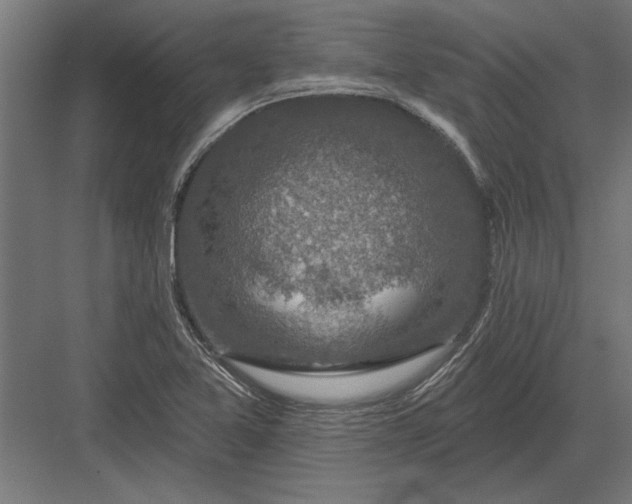 X0000082931365200702152136